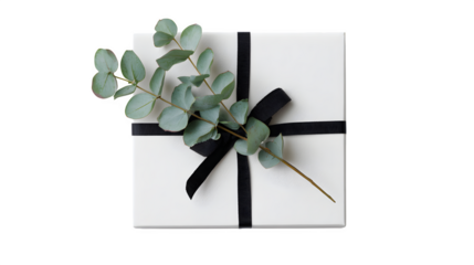 Minimalist white gift box with thin black ribbon and a single sprig of eucalyptus, clean and modern design, isolated on white background