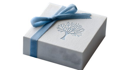 Modern gift in matte white paper with debossed abstract tree and matching ribbon, architectural minimalism, isolated on white background