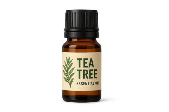 Tea tree essential oil bottle for aromatherapy skincare