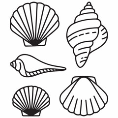 Elegant Nautical Seashell Outline Vector Design