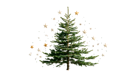 Realistic live-cut Christmas tree with uneven branches, sap droplets, and handmade paper stars, organic charm, isolated on white background