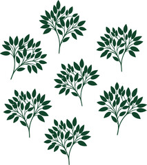 Fototapeta premium Collection of seven delicate dark green leafy branches arranged in a circular pattern
