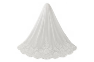 White bridal wedding veil with elegant lace trim