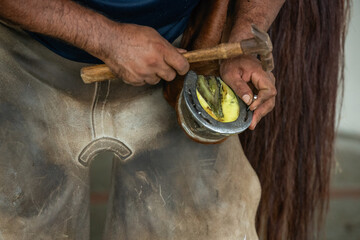 Close-up of a Man Holding Horse's Leg With Horseshoe on a Ranch, Panama, Chiriqui, Central America...