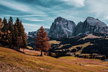 Panoramic view of the Sasso Lungo group in the Dolomites, Italy.