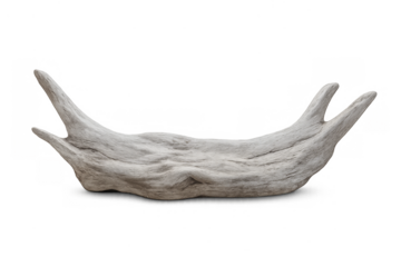 Weathered driftwood piece with natural shape on transparent background