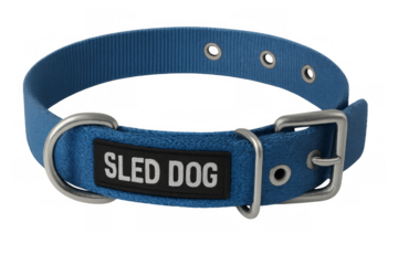Blue sled dog collar with metal buckle