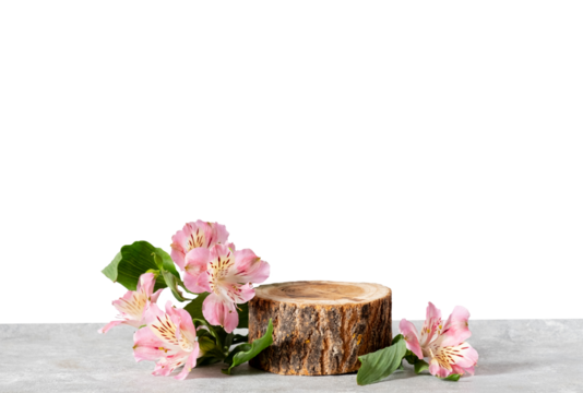 Natural wooden stump podium surrounded by delicate pink alstroemeria flowers and green leaves on light stone surface. Minimal cosmetic or product display scene with clean transparency and copy space 