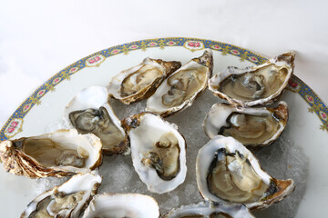 fresh oysters as luxury gourmet food for celebration