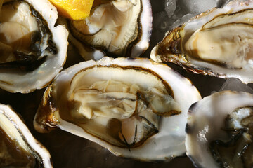 fresh oysters as luxury gourmet food for celebration