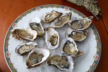 fresh oysters as luxury gourmet food for celebration