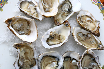 fresh oysters as luxury gourmet food for celebration