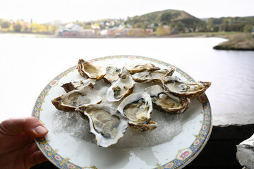 fresh oysters as luxury gourmet food for celebration
