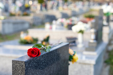 Red rose lying on a monument in a cemetery at sunset. Memory of the deceased. Expression of love