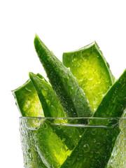 Fresh aloe vera plant leaves in bowl