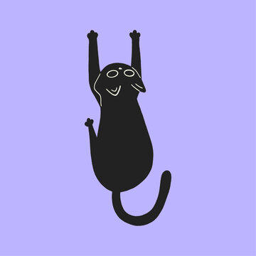 Rebel Cat_12