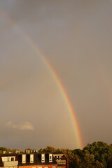 Fototapeta premium rainbow in the sky