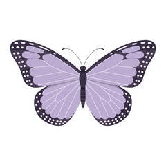 cute purple butterfly cartoon icon