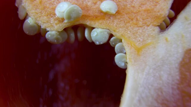 Paprika seeds (Capsicum annuum) macro: Cross section of fruit, plant anatomy, botany and reproduction concept.
