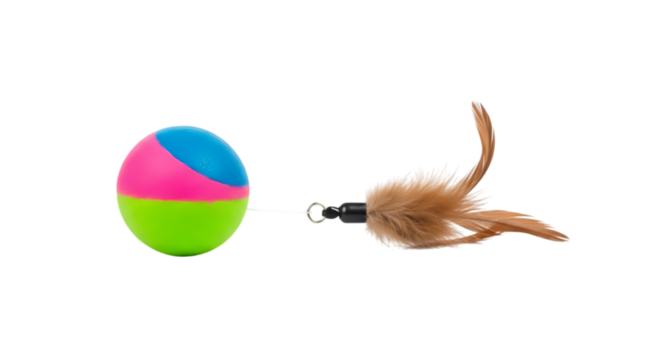 Feathered pet toy, ball, transparent background