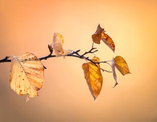 Autumnal Branch with Fading Leaves Against a Warm Backdrop.