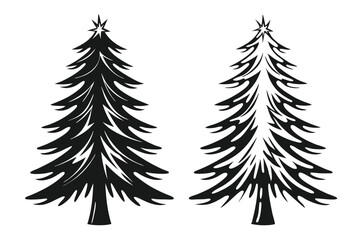 Fototapeta premium Silhouette shows an elegant, classic pine tree with interesting branch details