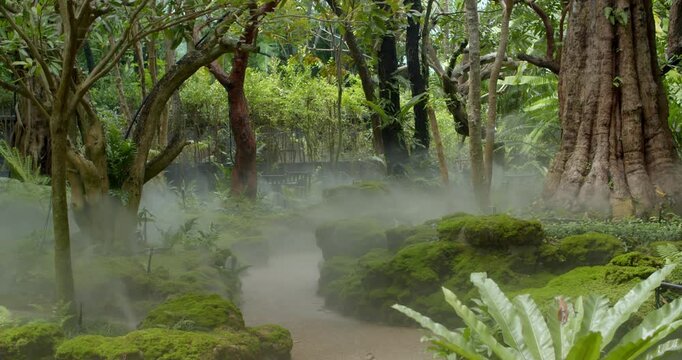 Fine mist spraying through a garden, adding moisture and enhancing the lush natural atmosphere.Mist rising among garden plants.