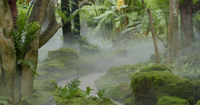Fine mist spraying through a garden, adding moisture and enhancing the lush natural atmosphere.Mist rising among garden plants.