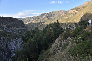 Canyon de Colca au Pérou