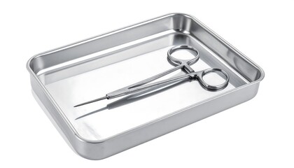 Surgical Scissors in a Stainless Steel Tray - Medical Precision.