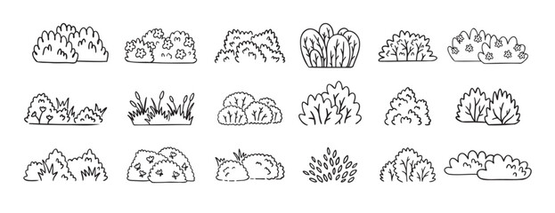 Bushes doodle hand drawn line icon set. Bushes clipart outline