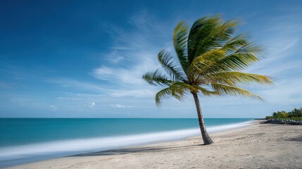 Obraz premium An image of a palm tree on a beach with the ocean and sky in the background is ideal for a relaxing getaway