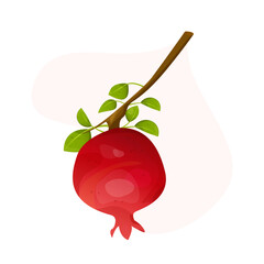 A cartoon pomegranate on a branch with green leaves. Fruit on a branch.