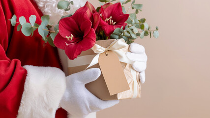 Santa Claus close-up hand in white glove holding bouquet of red amaryllis  eucalyptus in kraft paper box with blank tag, beige background, Christmas floral gift concept, copy  space flower delivery