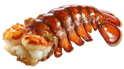 Cooked Lobster Tail, isolated on transparent background