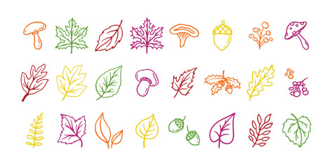 Autumn leaves outline doodle set. Botanical fall contour stickers. Vector leaf clipart drawings  © Yanka
