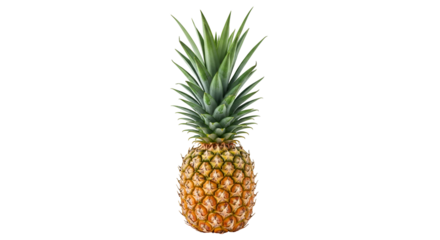 Whole ripe pineapple with green leaves on black background fruit tropical