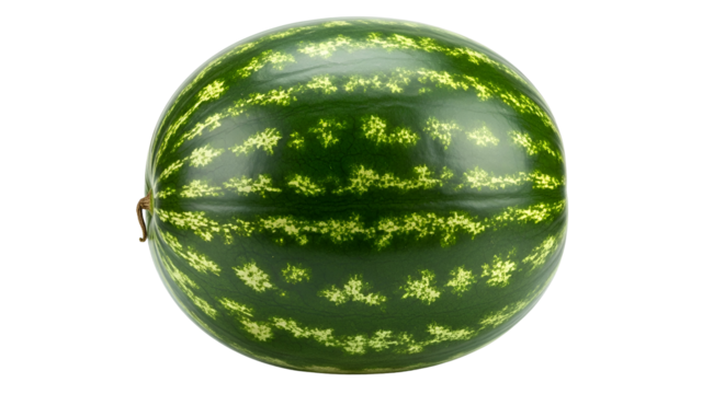 Whole green striped watermelon with stem on black background fruit