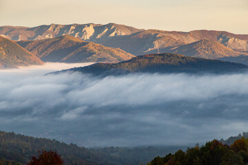 amazing autumn landscape with colorful trees