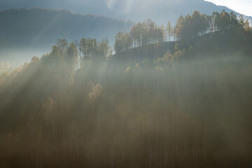 amazing autumn landscape with colorful trees