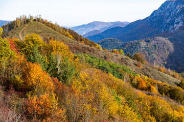 amazing autumn landscape with colorful trees