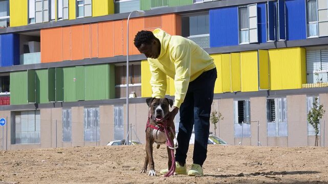 Young African American man crouching and petting his boxer dog outdoors