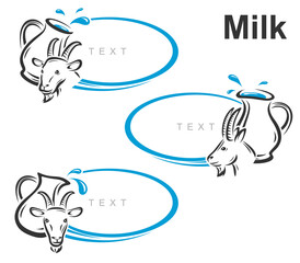 Milk label and icon set. Collection icons milk. Vector