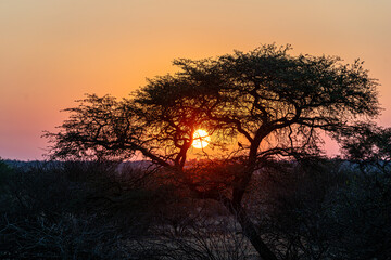 Sunset is at 7:30 pm. Since Namibia is a large country, sunrise and sunset times vary.