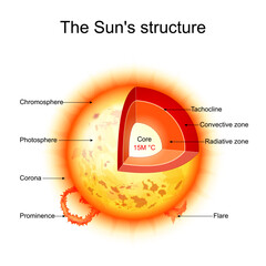 Sun structure. Star interior