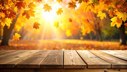 Autumns Golden Embrace - A Wooden Stage for Natures Grand Finale.
