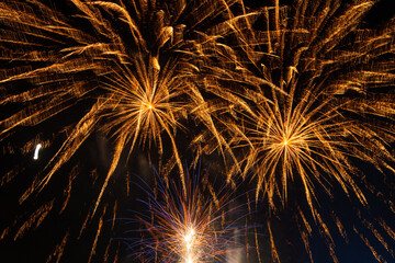 Amazing firework explosion in the night sky 	