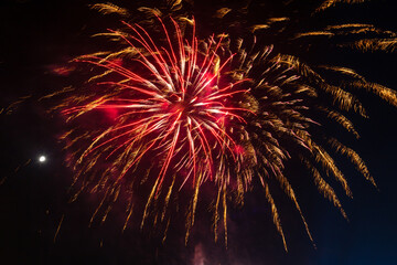 Amazing firework explosion in the night sky 	