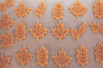Raw cookie dough cut into autumn leaf shapes on parchment paper. Cozy fall baking concept, homemade cookies, seasonal recipe, sweet handmade gift idea.