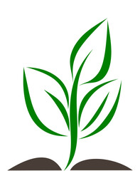 Green energy. Color vector drawing of a young plant sprouting from the ground, symbolizing growth, new beginnings, and environmental sustainability. Transparent PNG version.